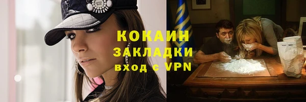 прущие грибы Абдулино