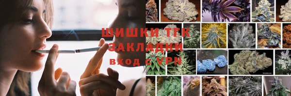 прущие грибы Абдулино