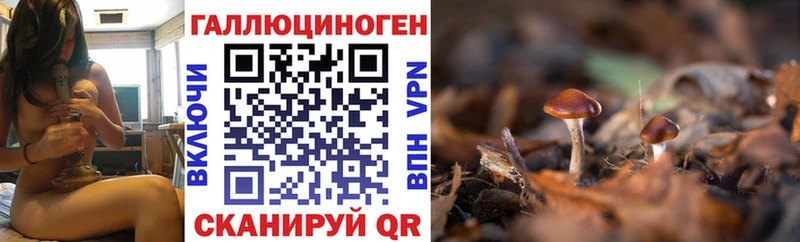 Галлюциногенные грибы MAGIC MUSHROOMS  продажа наркотиков  Тимашёвск 